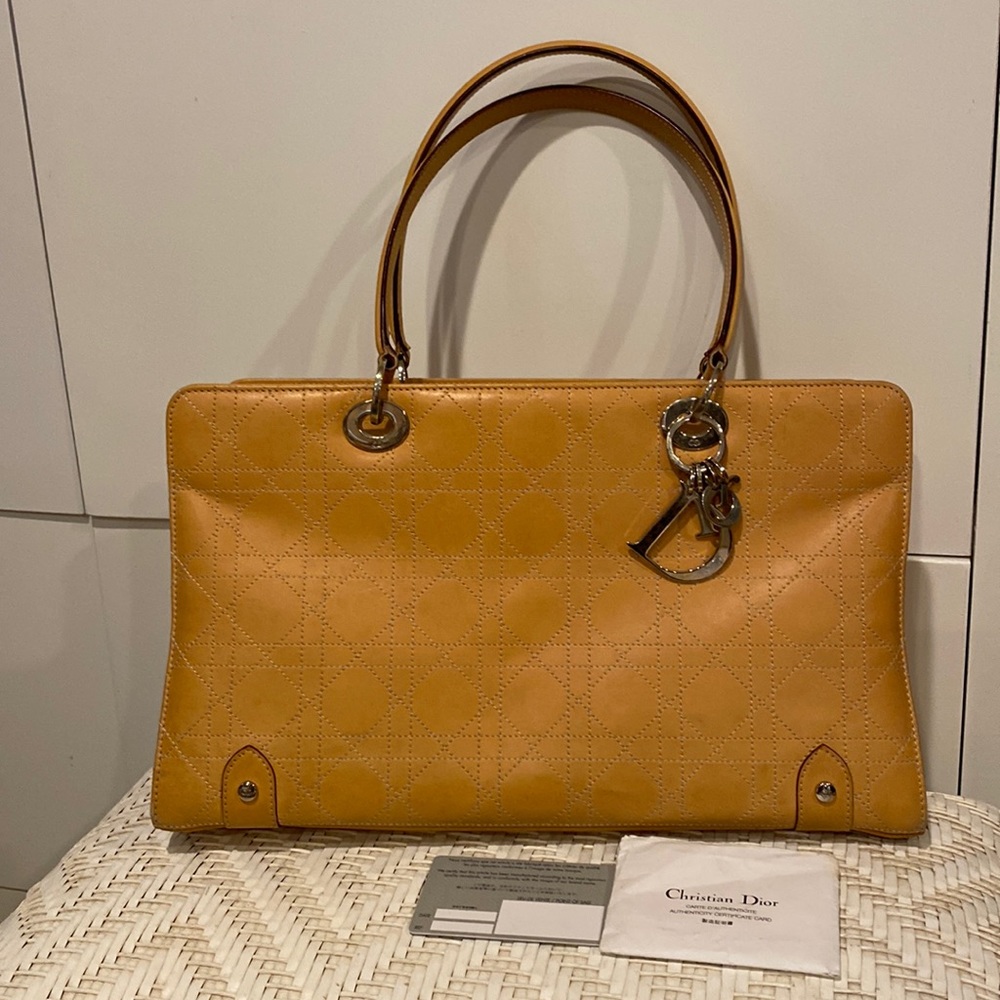 Christian Dior East West Leather Bag